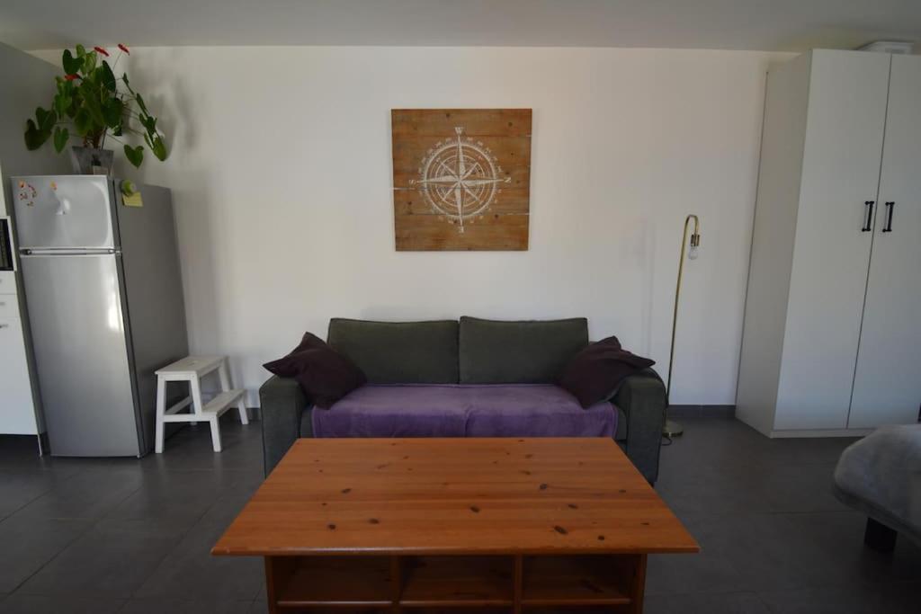 Grand Studio Independant Avec Jardin Goussainville  Eksteriør bilde